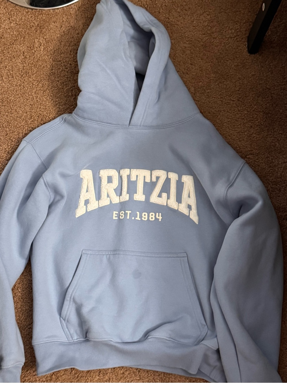 Aritzia Light Blue Hoodie with Front Pocket